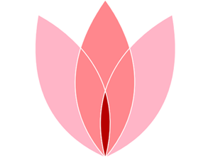 Becoming a Woman Facilitation Training ~ Full Payment